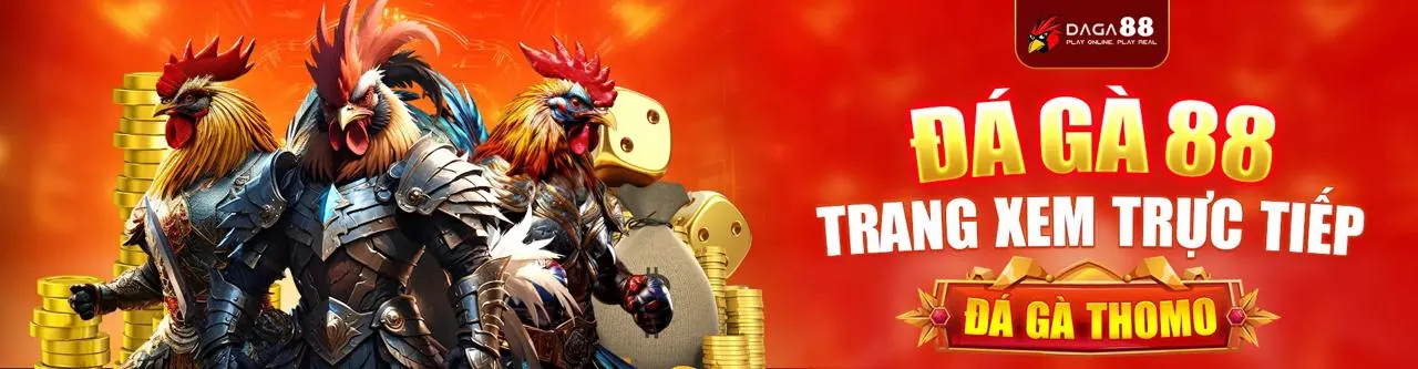 Đá gà trực tuyến kịch tính tại vin777vin casino