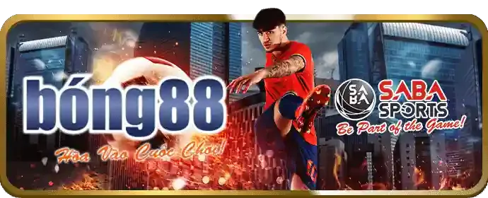 Giải trí an toàn và cá cược có trách nhiệm