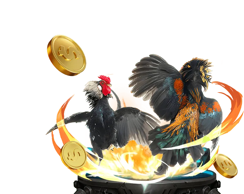 Cá cược bóng rổ tại vin777vin Casino